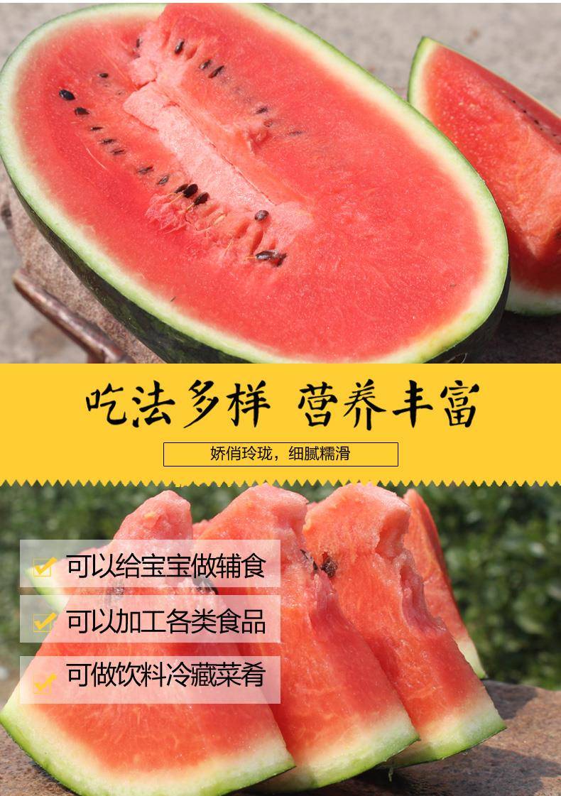 【4.5-6斤】越南进口应季水果新鲜越南西贡黑美人西瓜单果
