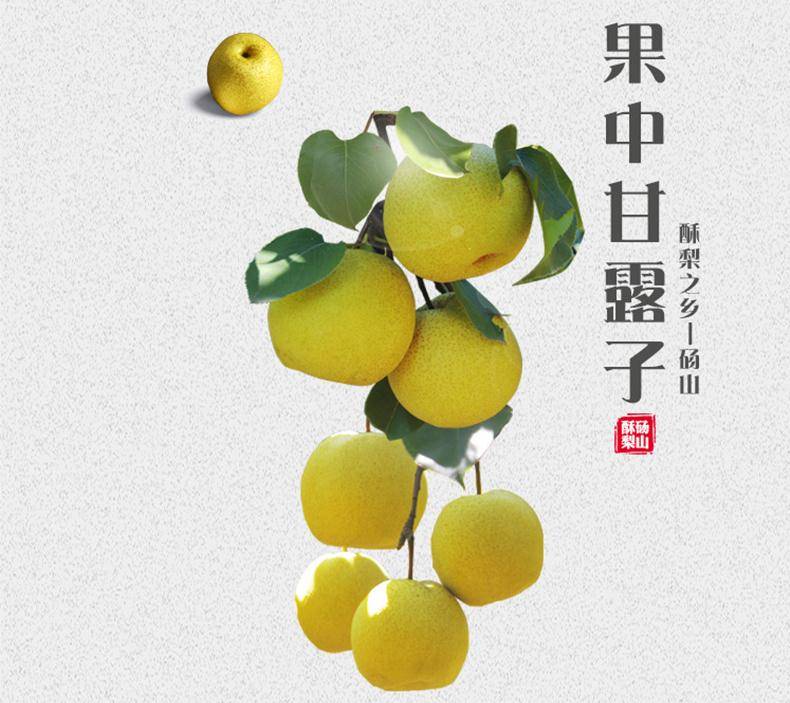【东三省专供】安徽砀山酥梨5斤装(单果200g起)现摘水果新鲜梨子