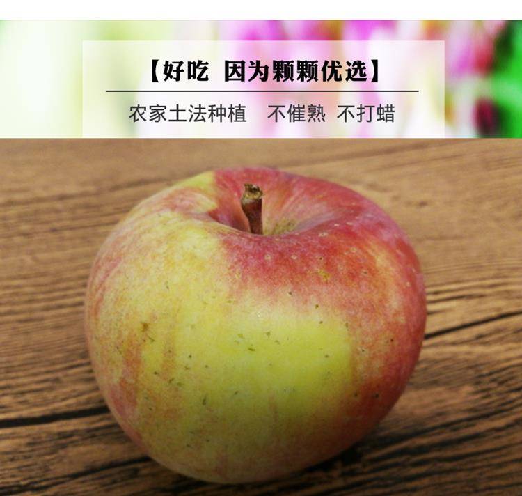 正宗东北国光苹果酸甜新鲜水果瓦房店苹果山东陕西苹果5斤