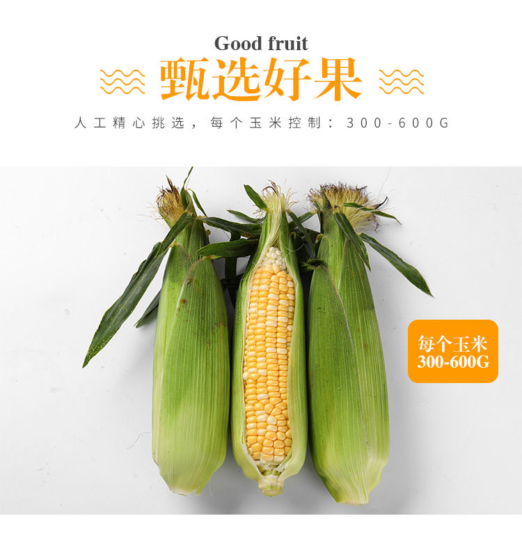 【5斤29.9】水果玉米现摘新鲜甜脆甜玉米棒甜脆爆浆嫩非糯玉米笨棒