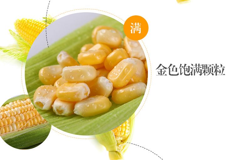 云南特产水果玉米现摘新鲜甜脆甜玉米棒甜脆爆浆嫩非糯玉米笨棒