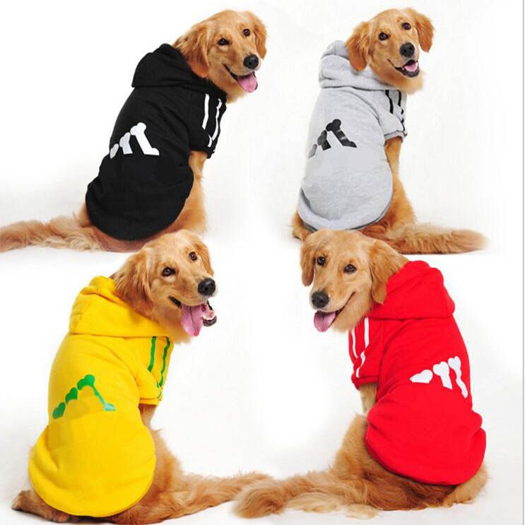 New big dog sports button clothing autumn and winter golden Samo pet clothing