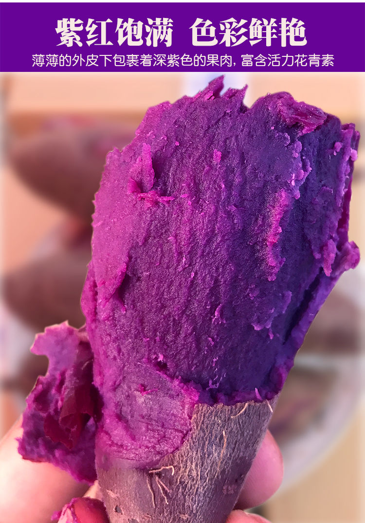 【超好吃】新鲜紫薯超值甜糯紫地瓜山芋黑薯紫红薯