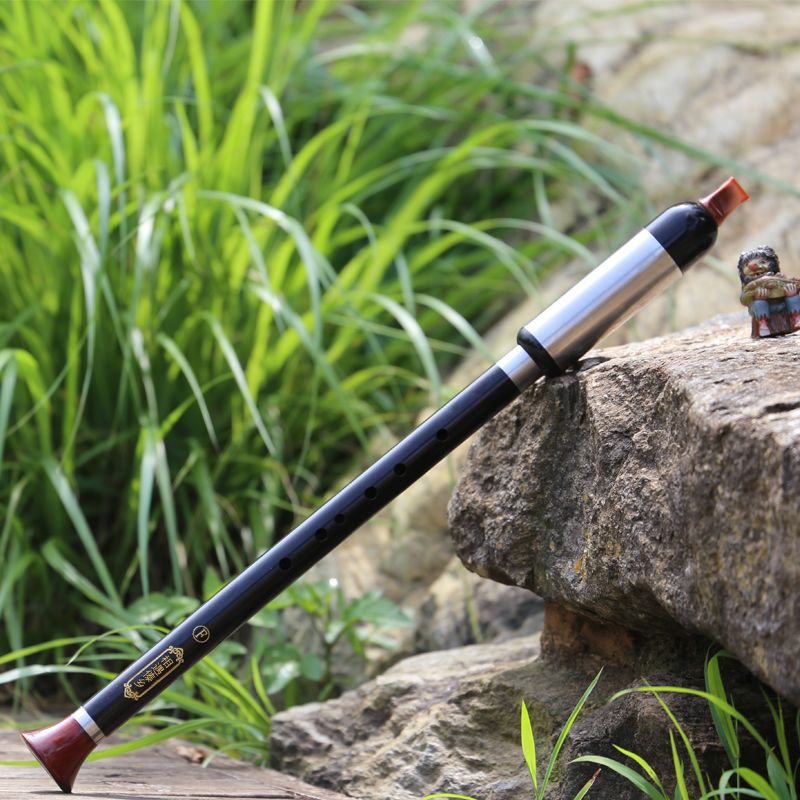 黑檀木 竖吹巴乌 相遇傣乡 小学生 初学入门 专业演奏 云南乐器