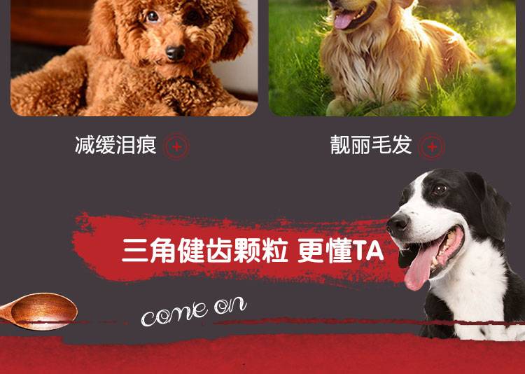 多少斤是大中小型犬 70