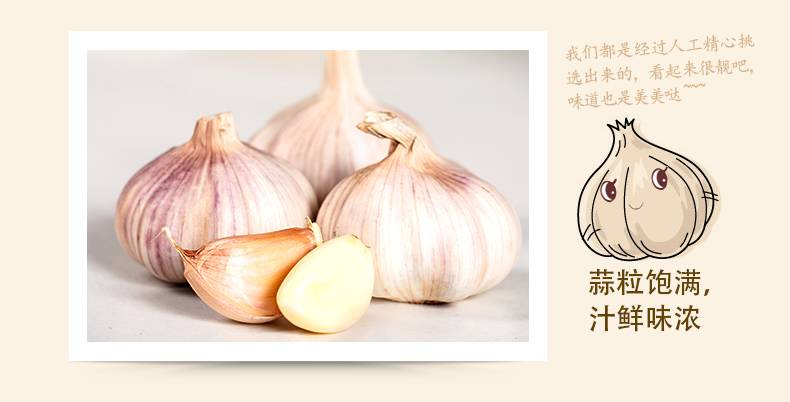 现在可以种大蒜头了吗 70