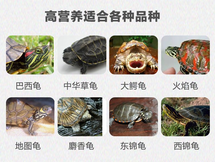 【买二送一】寸金龟粮乌龟食物饲料草龟巴西龟通用粮食亚成补钙粮