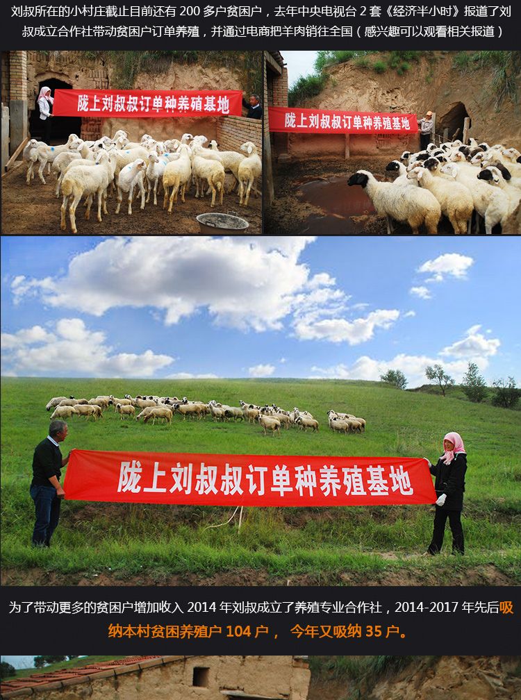 新鲜甘草宁夏滩羊肉5/3斤农家散养烤羊腿