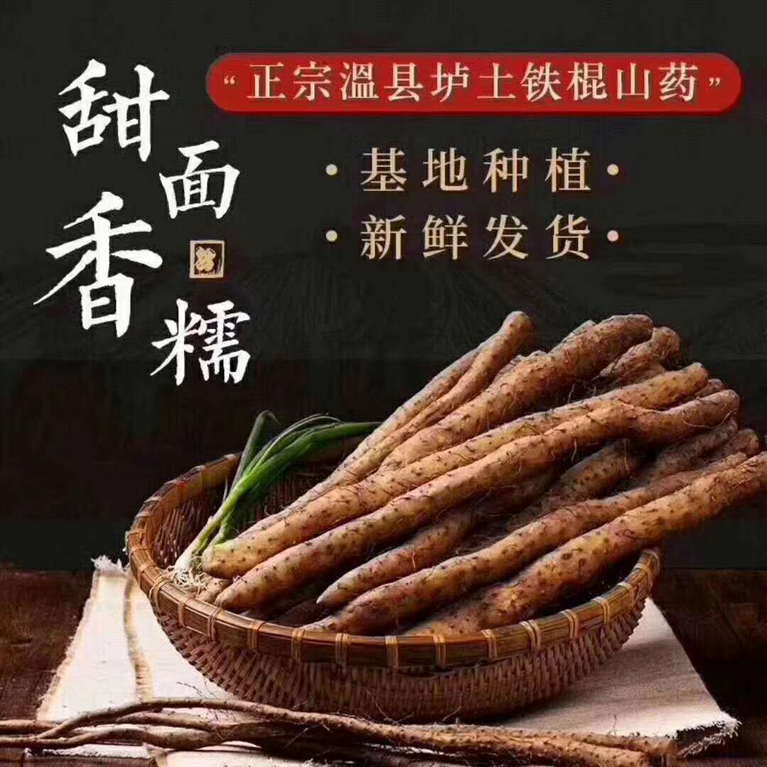 温县现挖新鲜怀山药五斤装 河南焦作温县铁棍山药精选手挑货 特产