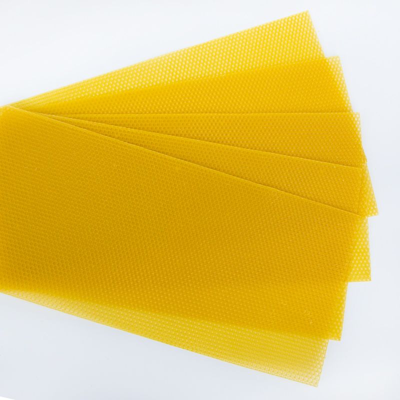 中蜂巢础30片深房天然蜂蜡蜂箱养蜂工具蜜蜂蜂窝巢脾巢基巢皮包邮