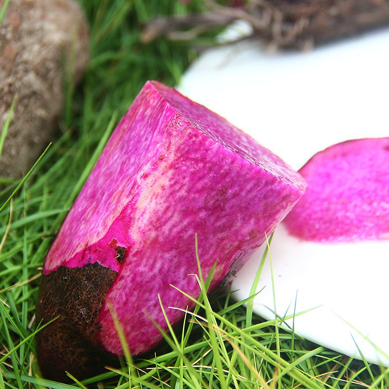 野生紫薯山药图片图片