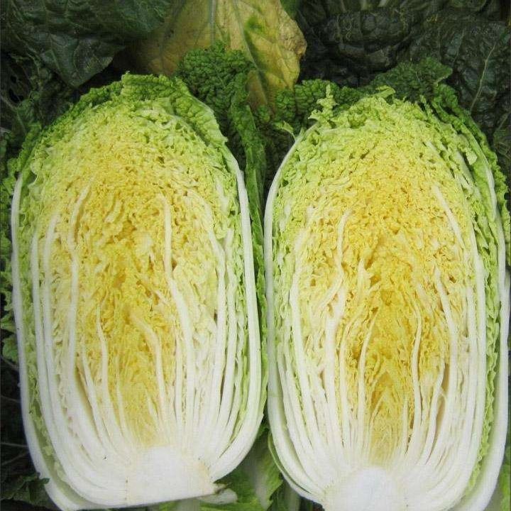山东胶州大白菜新鲜蔬菜东北大白菜黄心胶菜娃娃菜腌
