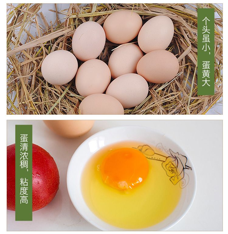 【新鲜鸡蛋】农家散养土鸡蛋新鲜柴鸡蛋30枚15枚20枚40枚