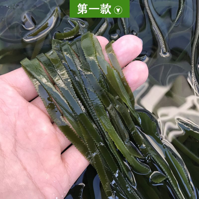 d7b1ae3bac822709803ed3a78180f8f6.jpeg