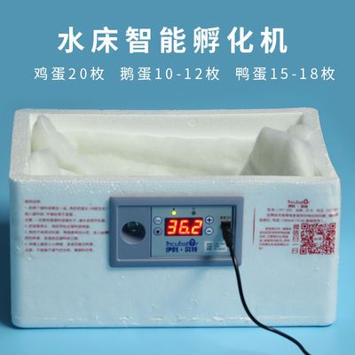 伊科贝特水床孵化机小鸡孵化器家用20枚32枚鸡鸭鹅鹌鹑孵蛋