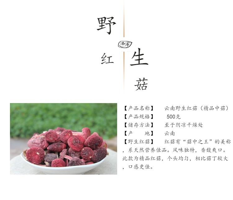 云南野生菌大红菇干货100/250/500克红菌土特产蘑菇菇类美味山珍ch