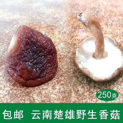 雲南野生香菇乾貨 250g幹香菇蘑菇菌菇乾貨楚雄農家特產超香香菇