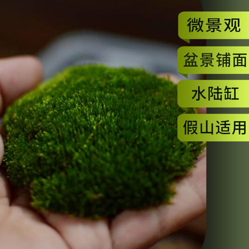 0e5b10378059ebcf74d83ce99da75327.jpeg