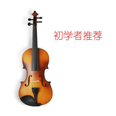 乐器之王钢琴小提琴琵琶