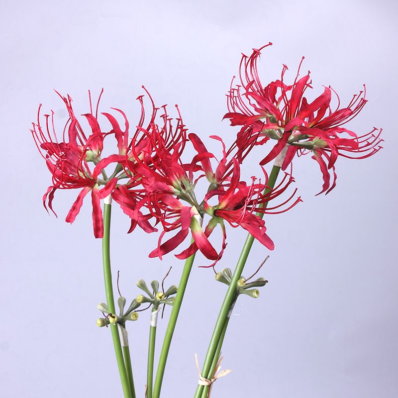 Other shore flower artificial flower MANSA pearl Chinese Lycoris artificial flower antique photography artificial flower props flower arrangement living room