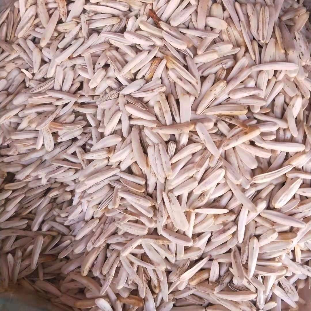 牙签瓜子新疆特产牙签马牙葵花籽葵生瓜子白皮新货皮薄仁酥