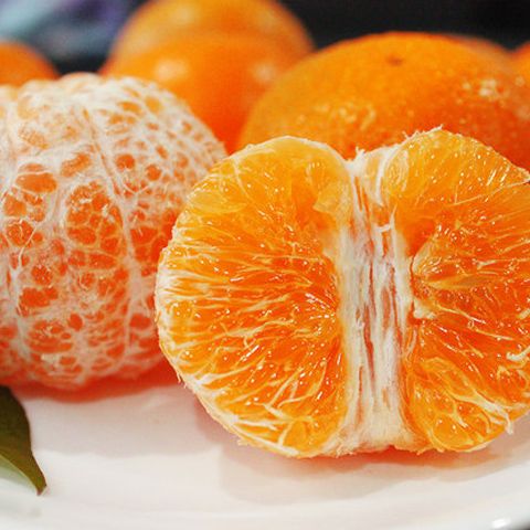 广西武鸣沃柑新鲜水果灵山沃柑桔子1052斤贵妃柑橘非脐橙皇帝柑