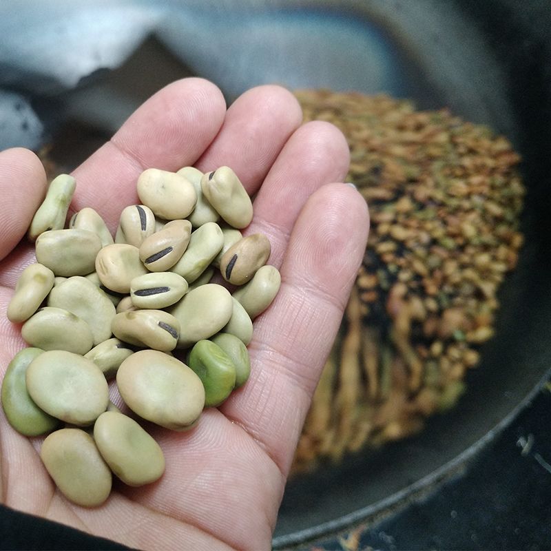 铁胡豆468g*4包 1包柴火铁锅手工沙炒蚕豆特硬佛豆零时小时候味道