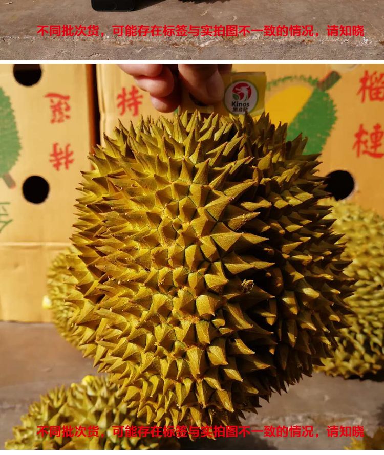 cd0e120590bc87e9b7a3705430fb8218.jpeg