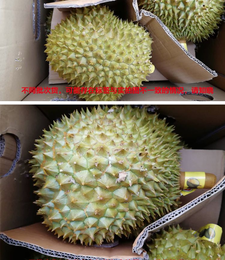 fb3e4c6a7553d4d76789ad57e263c4db.jpeg