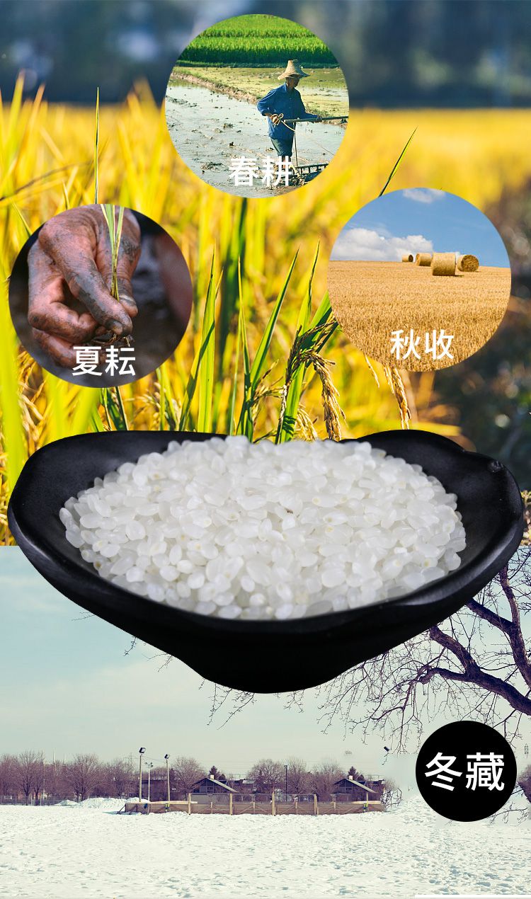 金刀穗東北大米5斤慶安大米圓粒香珍珠米原產地發貨現磨發售2.5kg