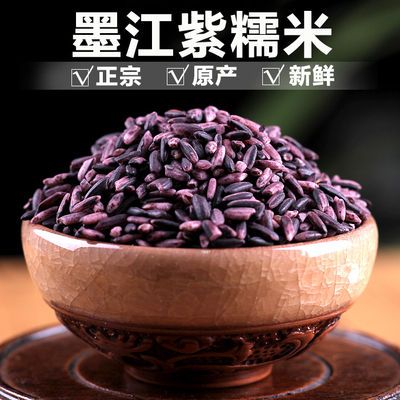 云南特产墨江紫米2023年新米紫糯米包粽子农家老品种血糯米非黑米