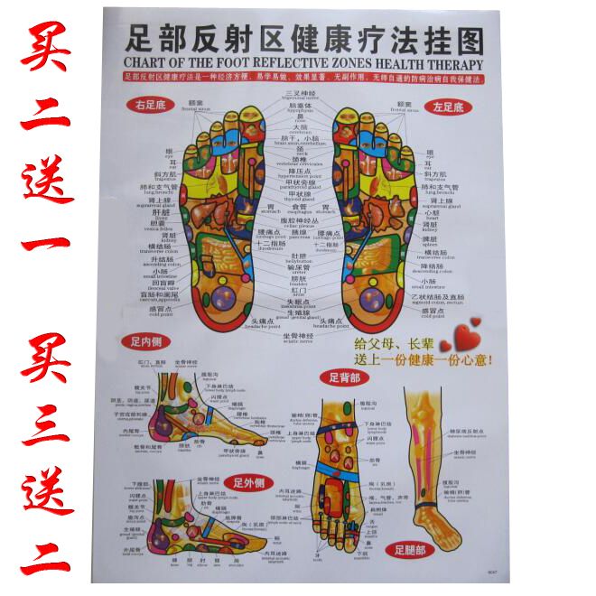 人体经络穴位图足部反射区挂图足底按摩标准穴位中医针灸大图推拿