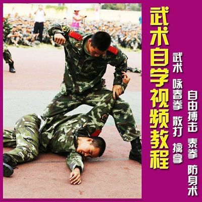 2018全套武术教学视频教程街头格斗跆拳道散打搏击女子自卫防身术