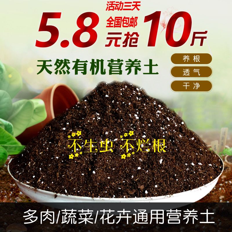 多肉种植土推荐 71d5c290-4cfb-40da-8b96-a6abb40da8f1.jpg