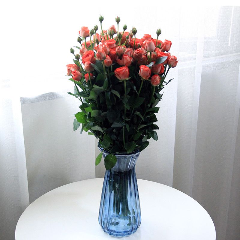 鲜花批发云南昆明多头玫瑰花泡泡家用办公室水养真花插花速递包邮