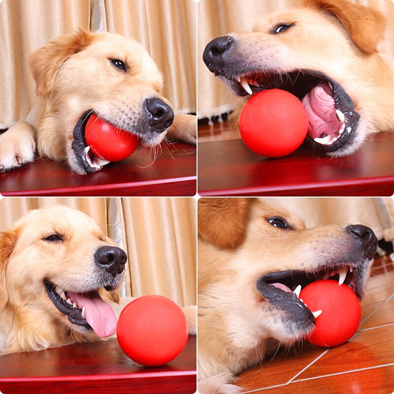 宠物狗狗玩具球耐咬磨牙逗狗弹力球泰迪萨摩耶橡胶实心穿绳训练球