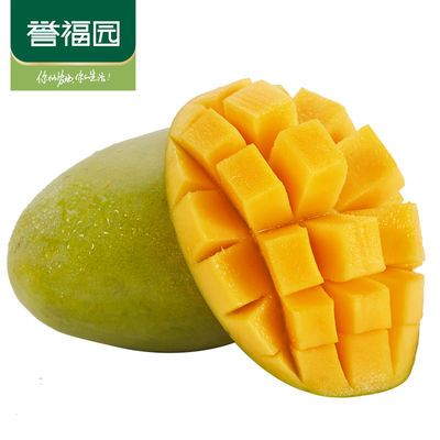 【誉福园】越南玉芒新鲜水果青芒当季芒果多规格单果200g以上