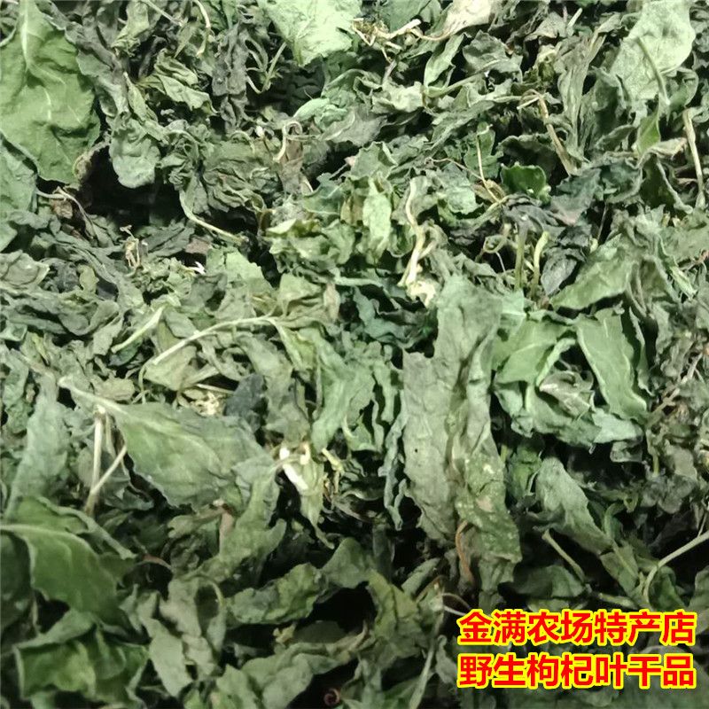 枸杞叶野生枸杞叶枸杞叶中宁嫩芽200g包邮