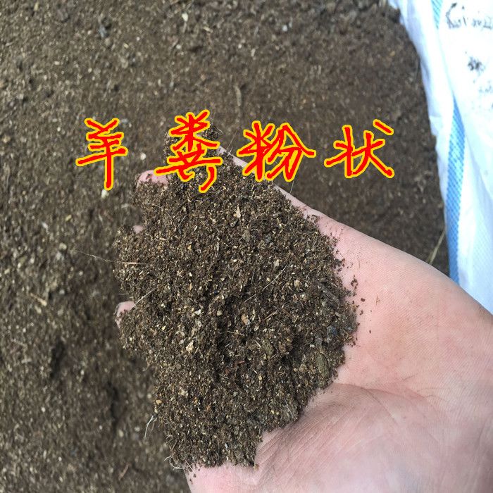 快速发酵鸡粪有机肥 6e342b27-4190-4349-84c2-3c84db23ec2c.jpg