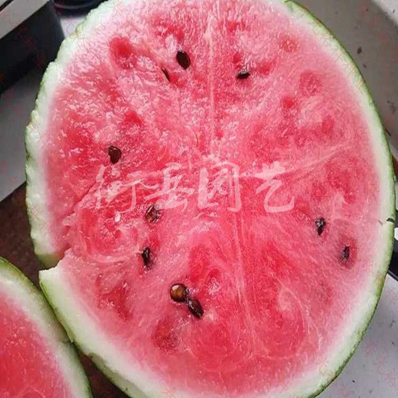 4e148ddc-1a27-4efb-a19b-b374d7648189.jpg