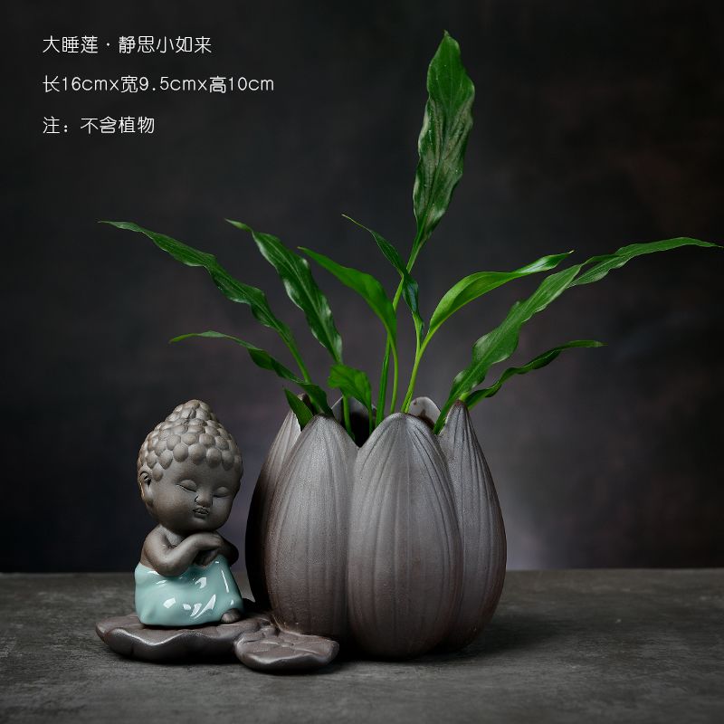 Large Water Lily-Meditation Small Tathag