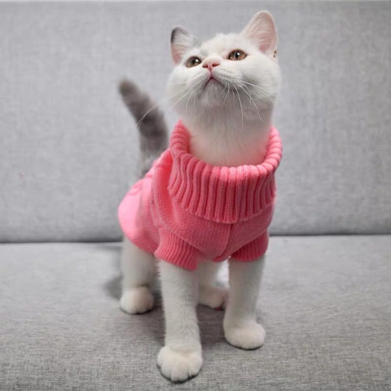 Kitty clothes pet cute kitty cat dog clothes four legs autumn winter sweater hairless cat Teddy