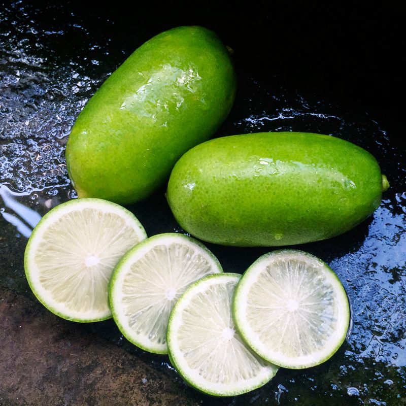 现摘现发 海南新鲜无籽香水柠檬非泰国柠檬无籽一级果青柠檬