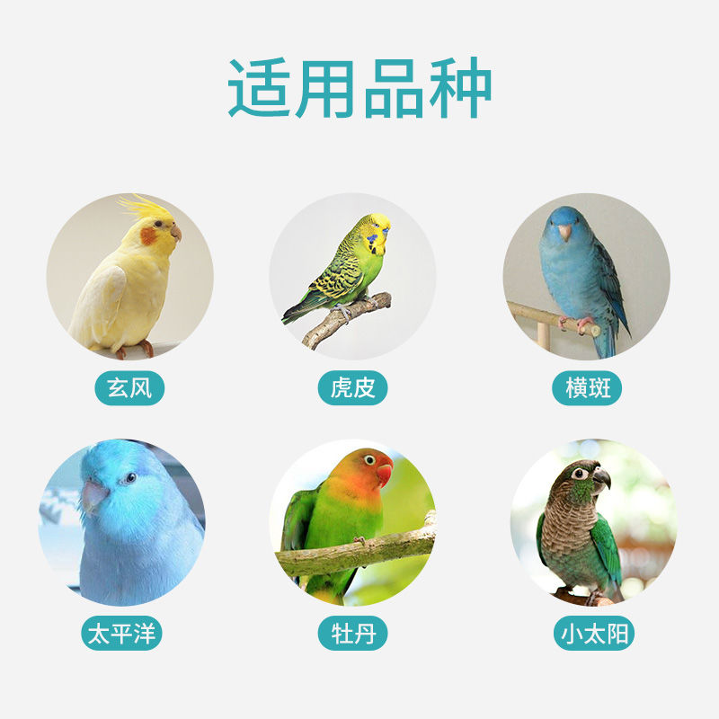 Pet Shang Tian Xuan Feng Hu Pi Peony Parrot Snack Feed Millet Bird Food Melon Seed with Shell Xiaomi Bird Food