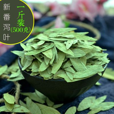 中药专业