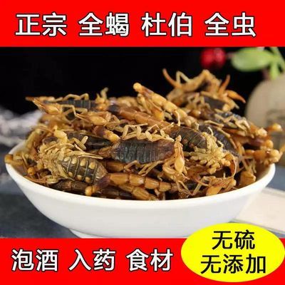 中药专业