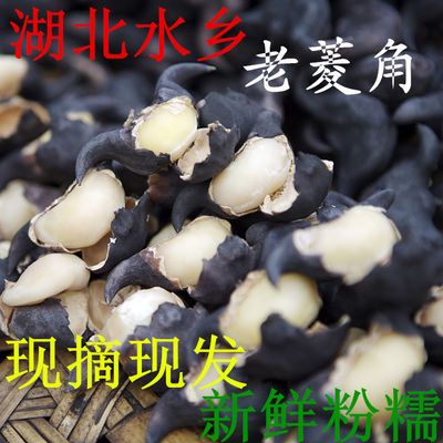 新鲜菱角2斤3斤4斤5斤湖北特产青菱角野生黑壳老菱角粉糯保鲜发货