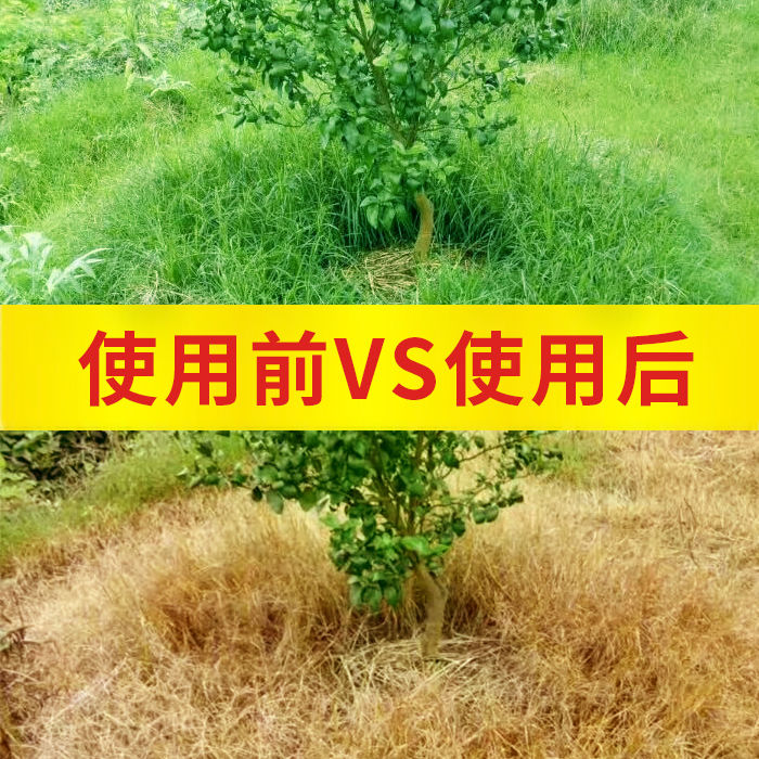 41%草甘膦異丙胺鹽 除草劑批發農藥雜草果園荒地爛根農達正品包郵