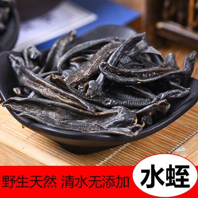 中药专业