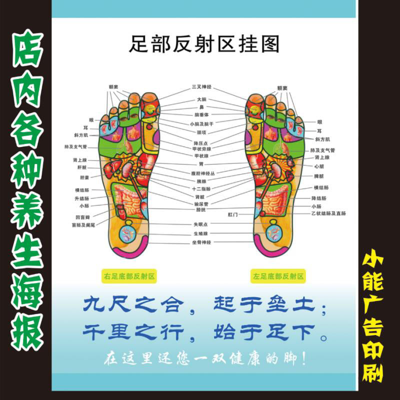 足底穴位图高清脚部按摩足部反射区针灸人体经络图足疗馆健康挂图